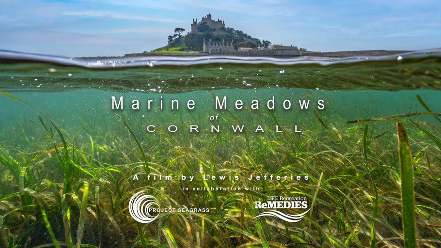 Marine Meadows Of Cornwall